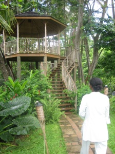 I took this photo the treehouse spa treatment/private dining room on St. Lucia, when I visited Discovery at Marigot Bay last year.